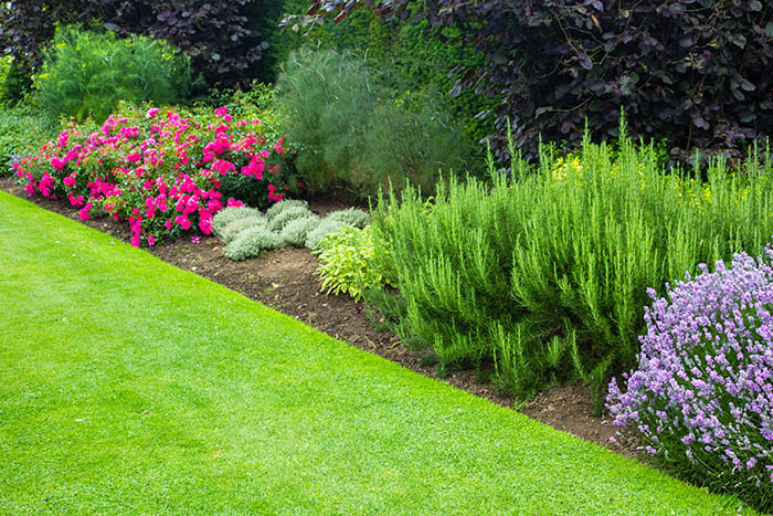 Paysagiste / Entretien de Jardin Saint-Claude
